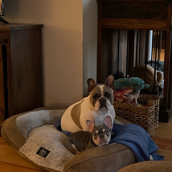 Meet your Posher, Tracy - Picture 9 of 11